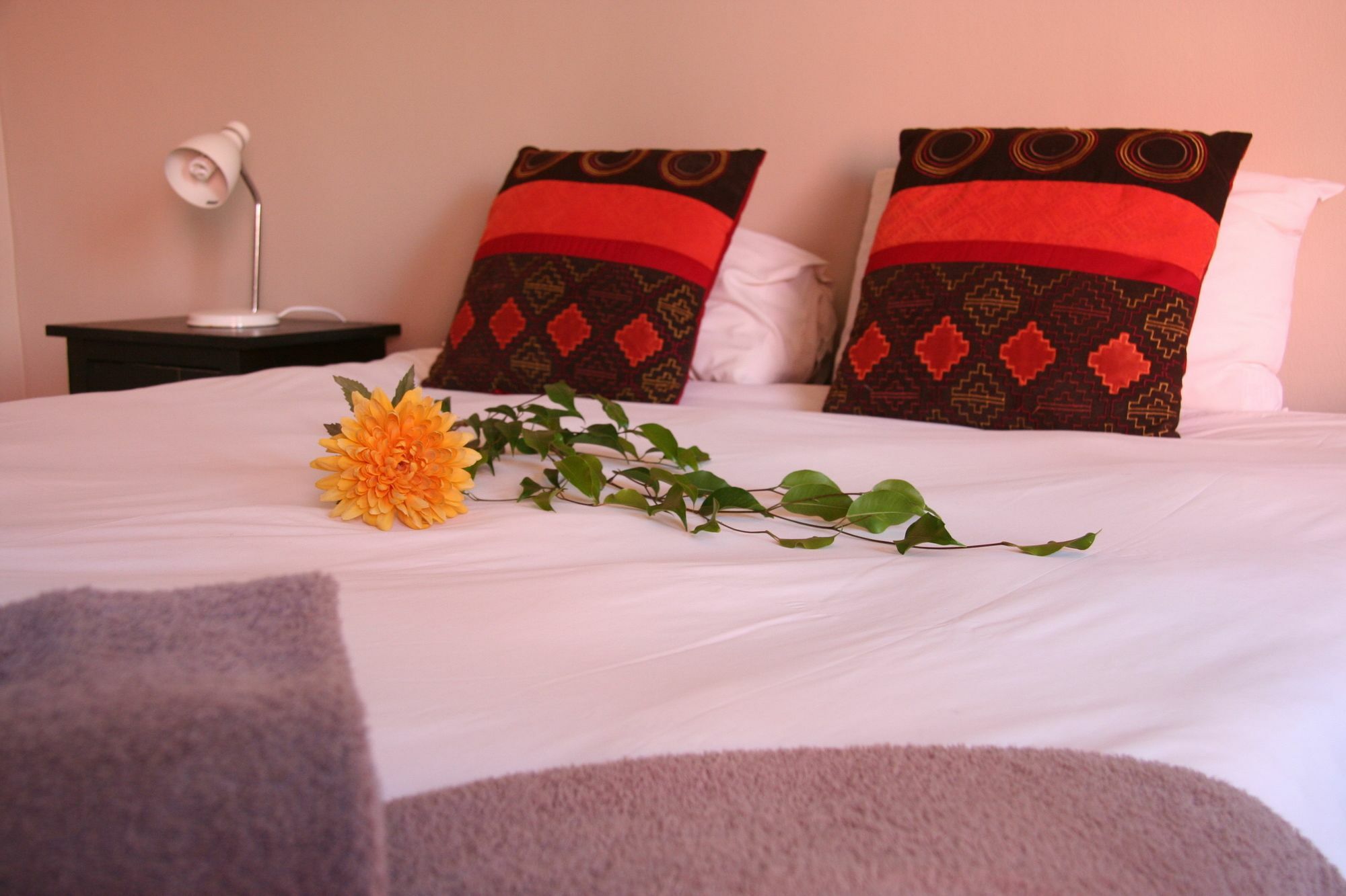 Dunedin Star Guesthouse Свакопмунд Экстерьер фото